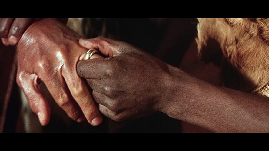 裸のジャングルの画像