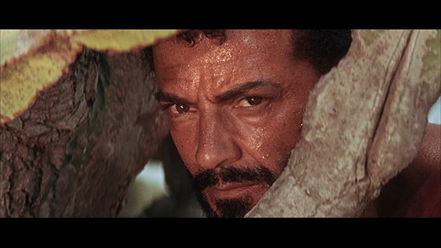 裸のジャングルの画像