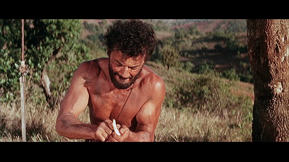 裸のジャングルの画像