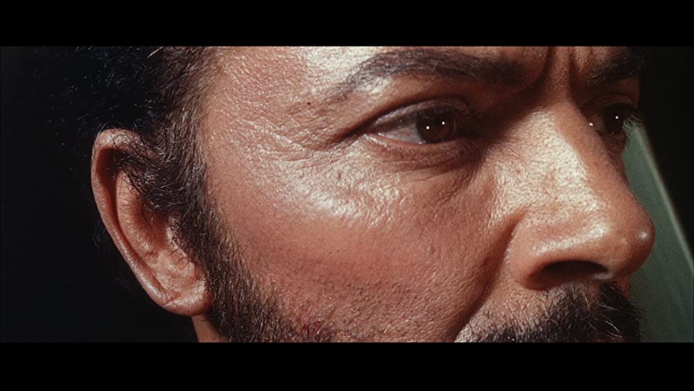 裸のジャングルの画像