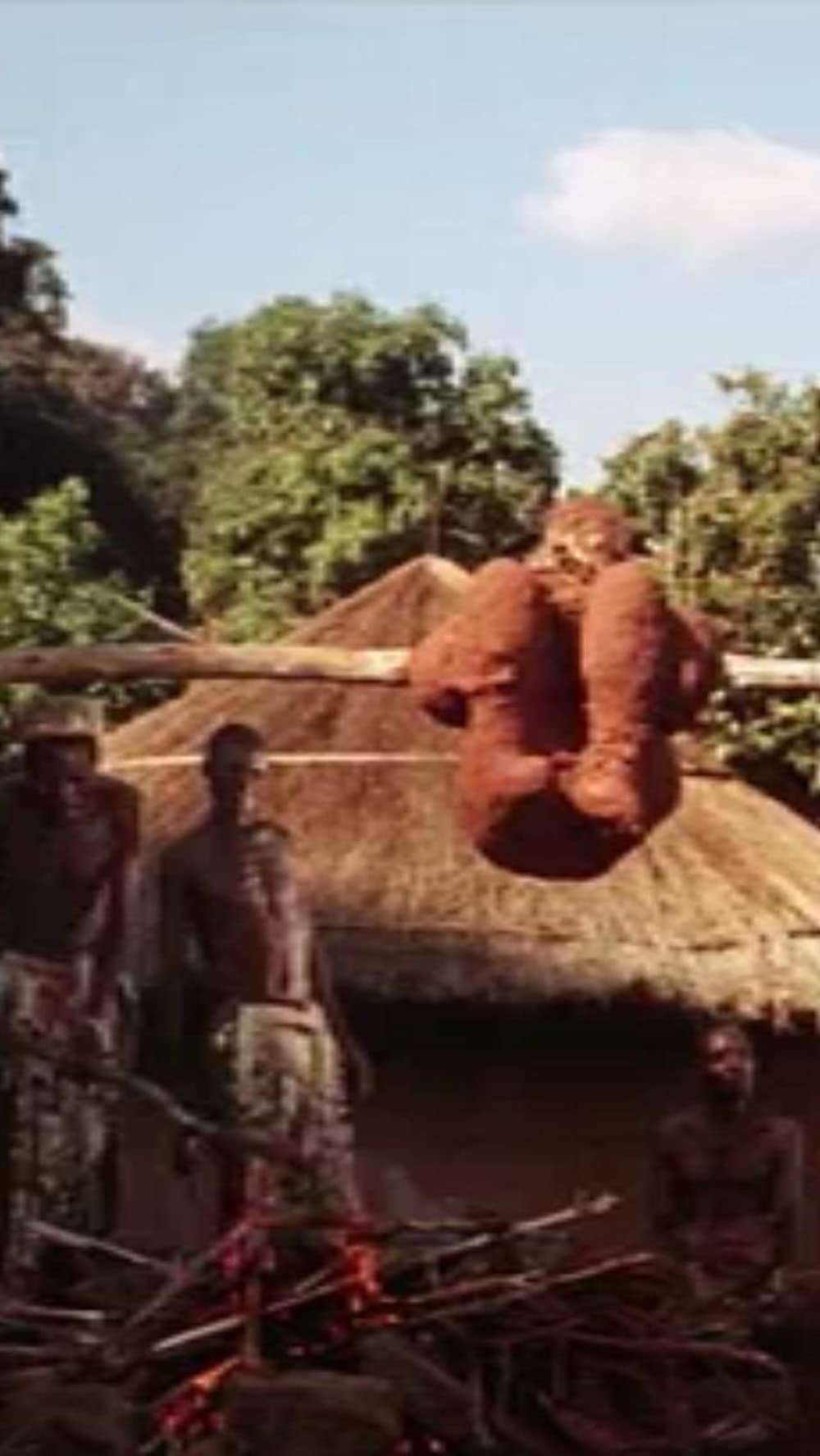 裸のジャングルの画像