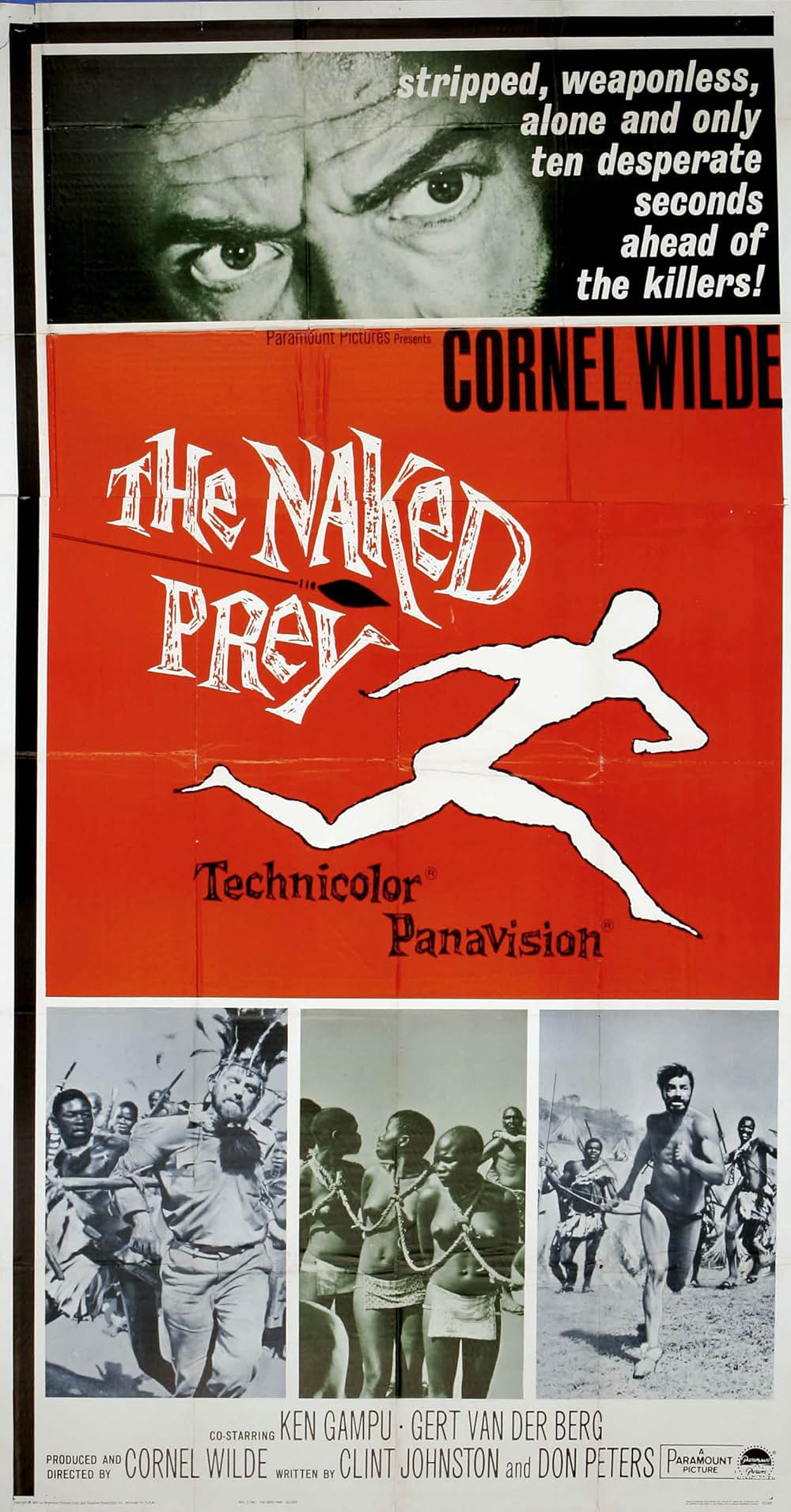 裸のジャングルの画像