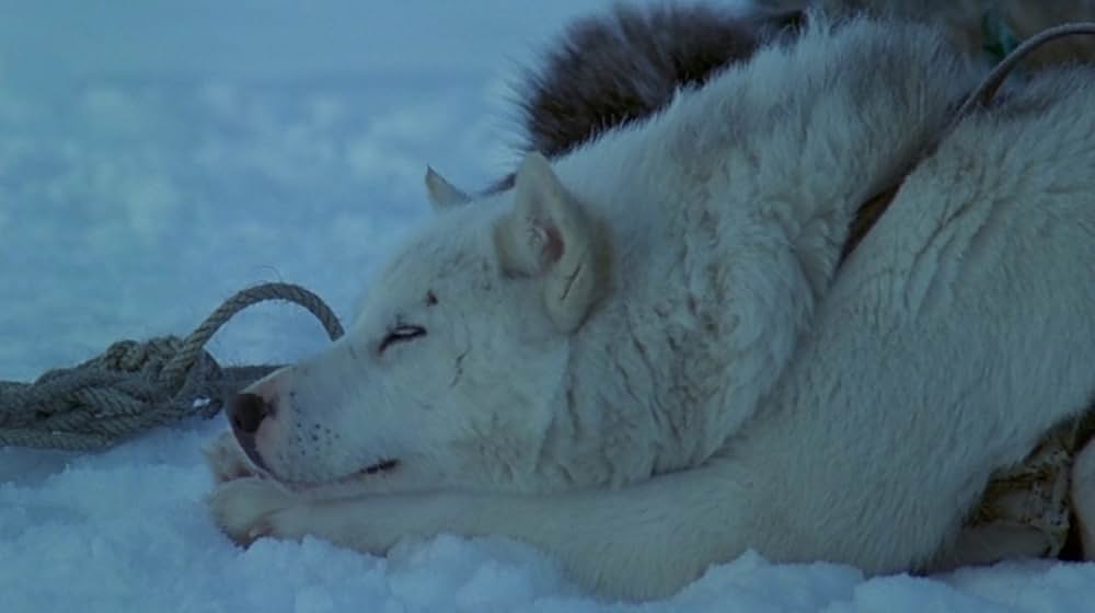 陰謀のシナリオの画像