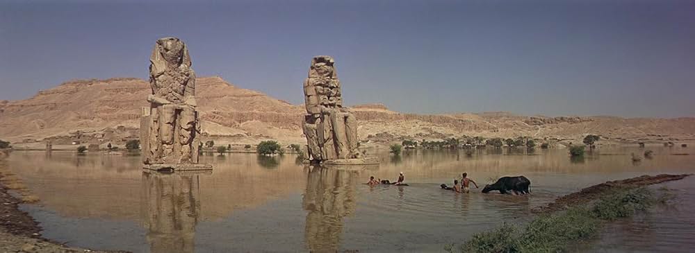 カーツームの画像