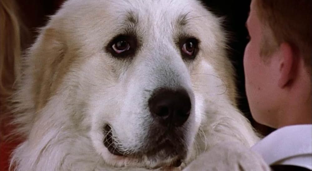 アンツ・イン・ザ・パンツ！の画像