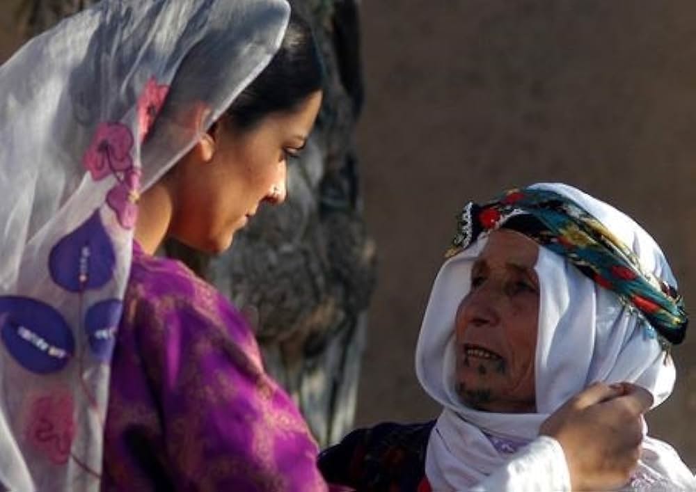 イラク -狼の谷-の画像