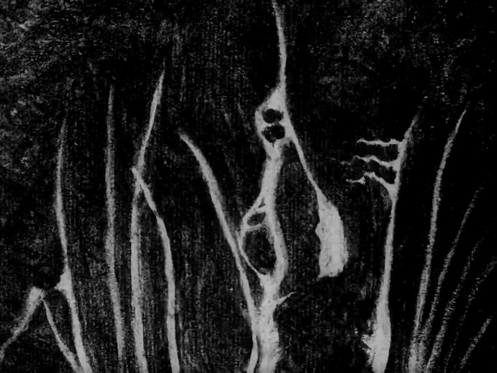 シランクスの画像