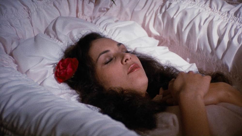 スパークルの画像