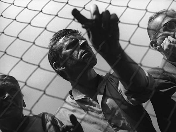 大通りの商店の画像