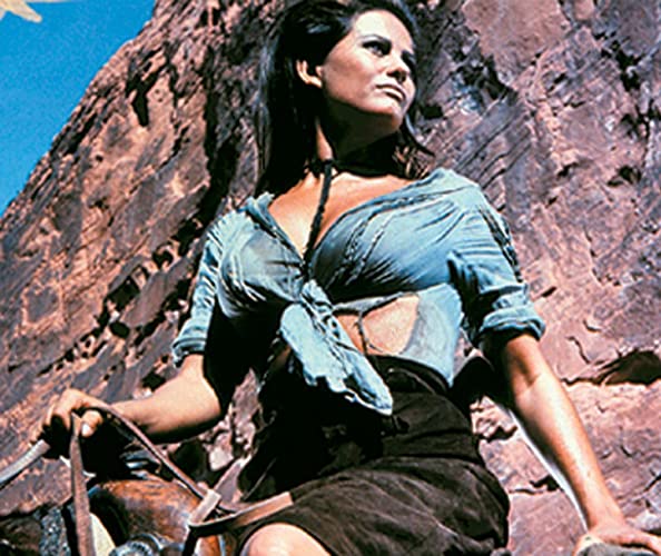 プロフェッショナルの画像