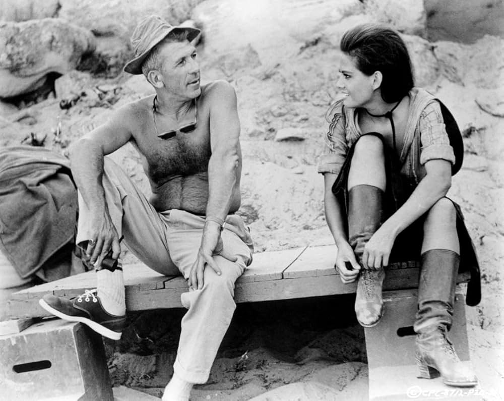 プロフェッショナルの画像