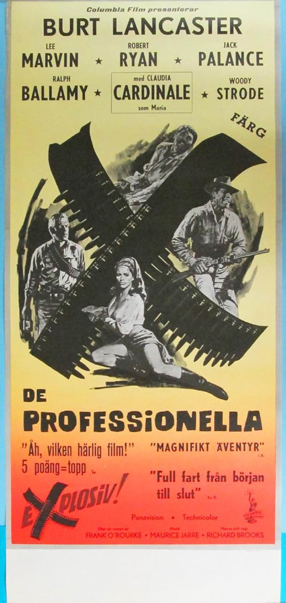 プロフェッショナルの画像