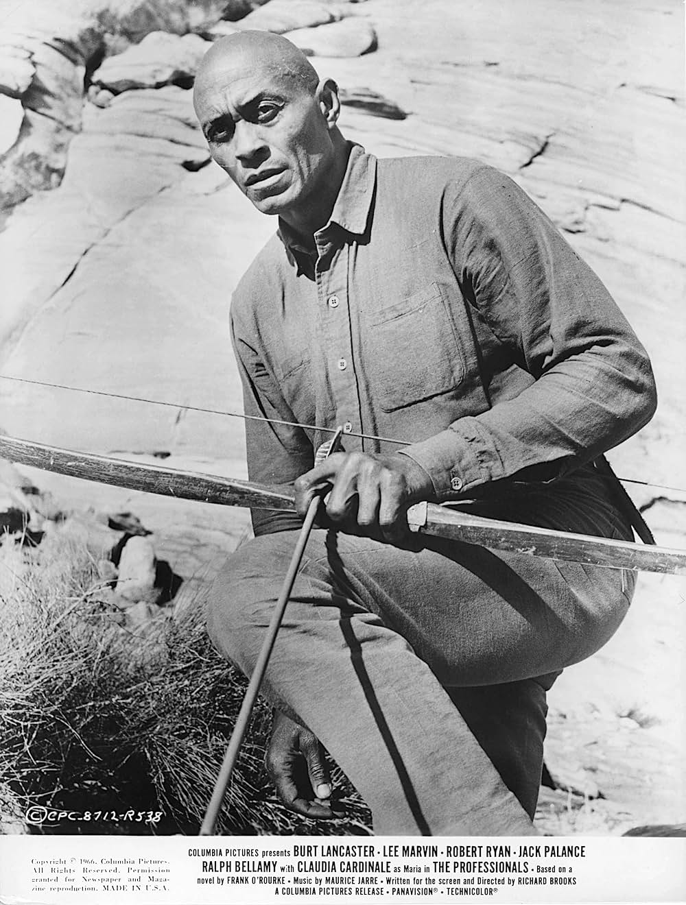 プロフェッショナルの画像