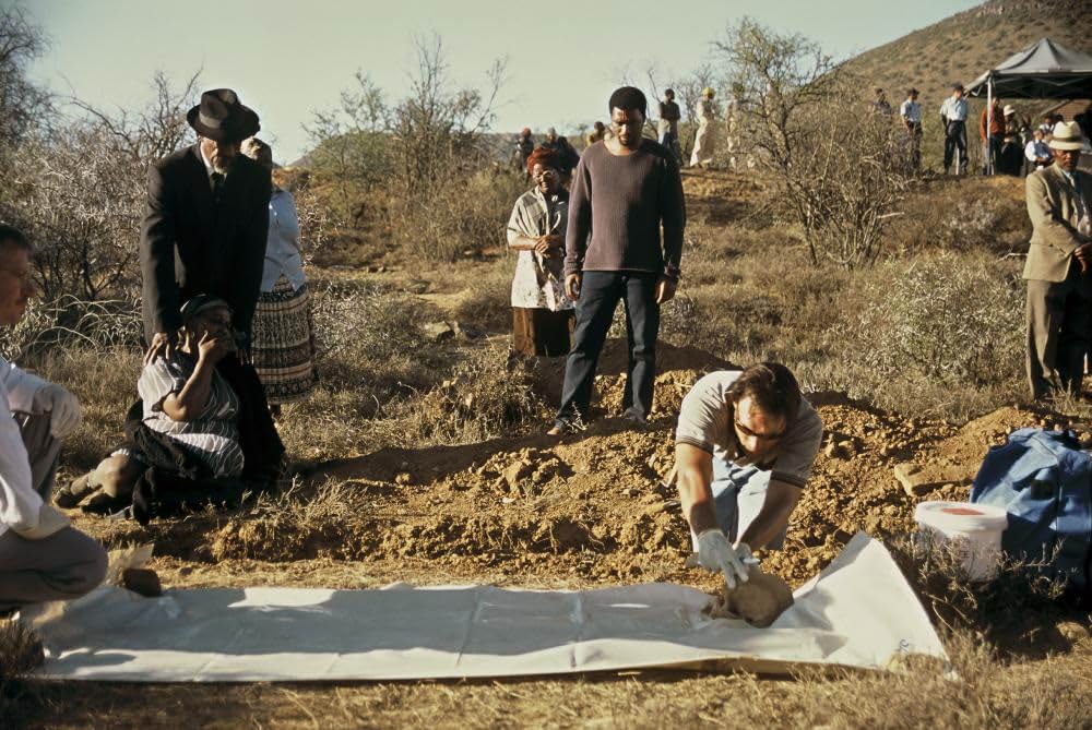 ヒラリー・スワンク IN レッド・ダストの画像