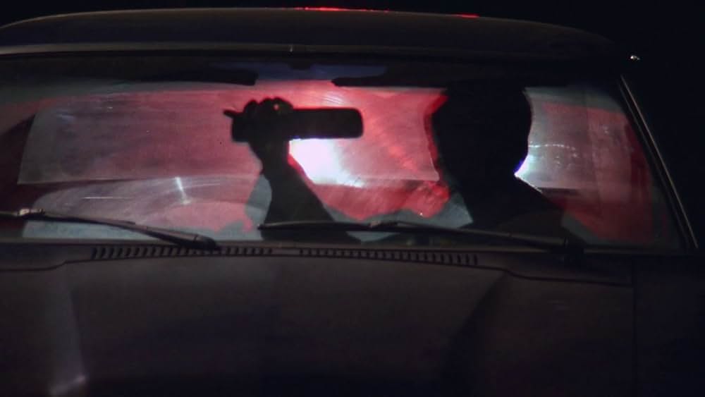 The Thin Blue Line（原題）の画像