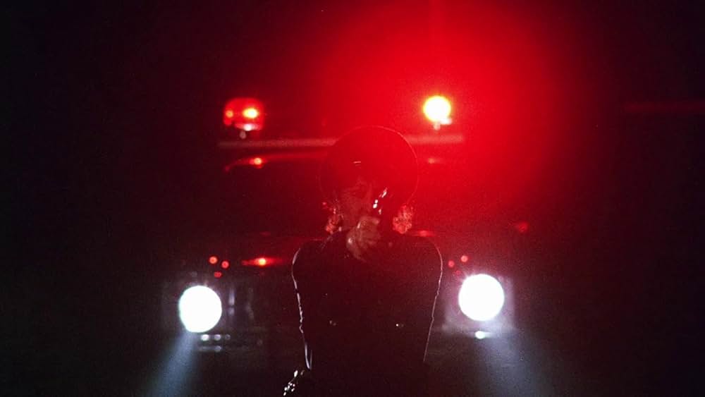 The Thin Blue Line（原題）の画像