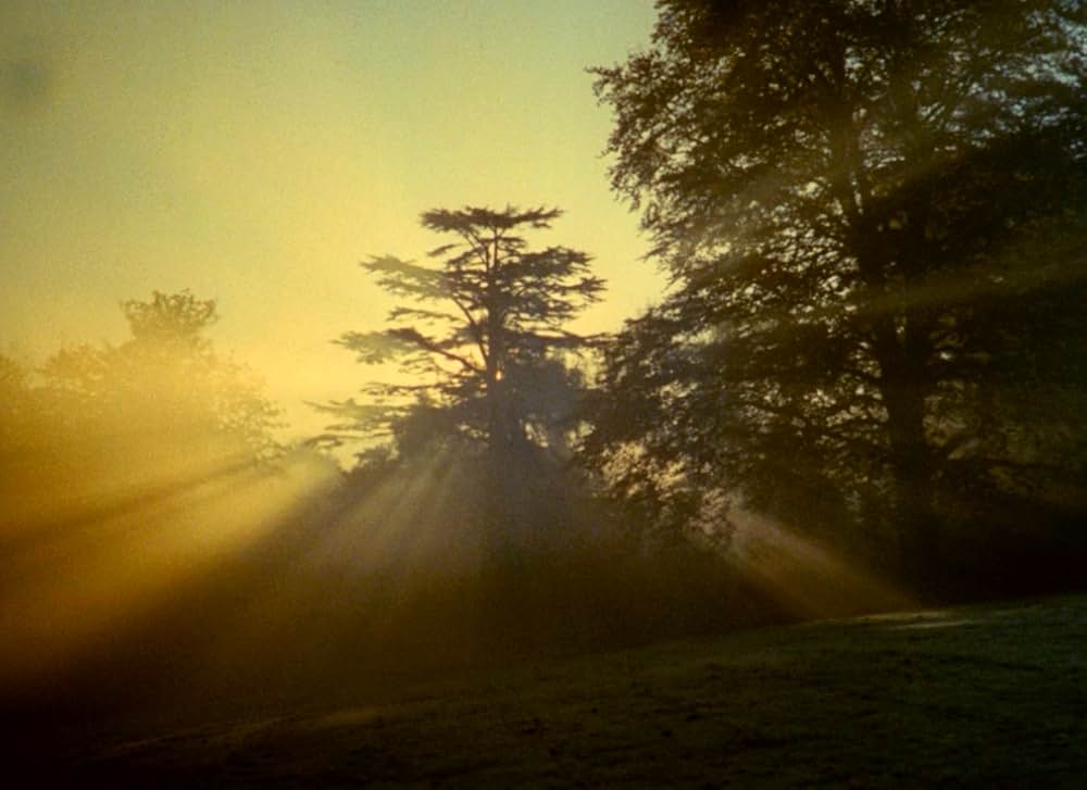 Symptoms（原題）の画像