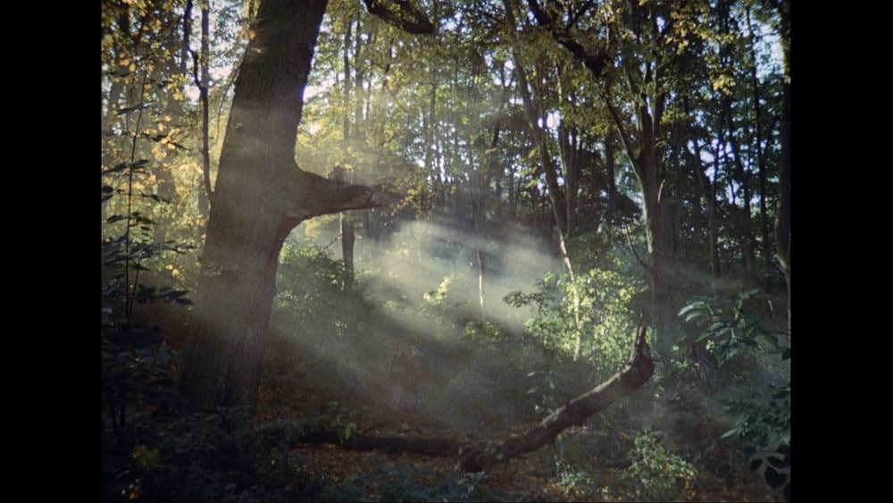 Symptoms（原題）の画像