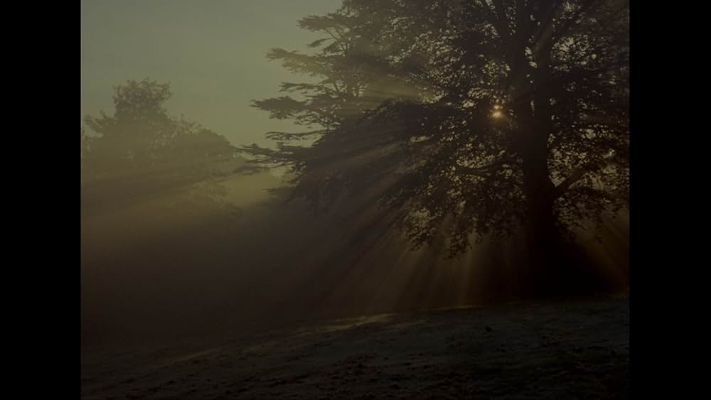 Symptoms（原題）の画像