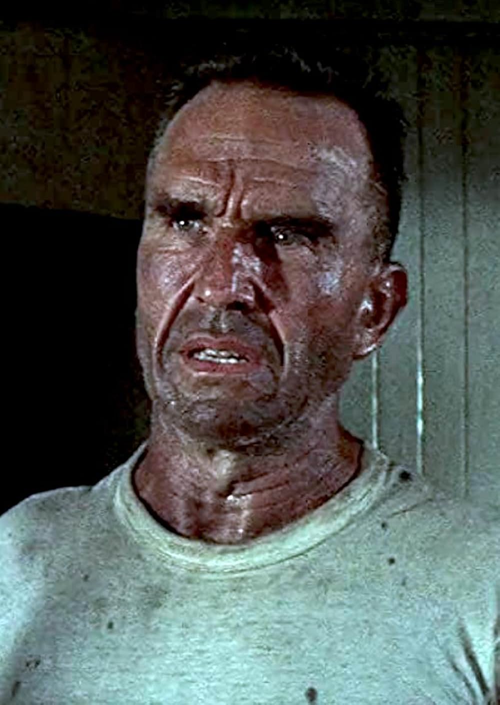 砲艦サンパブロの画像