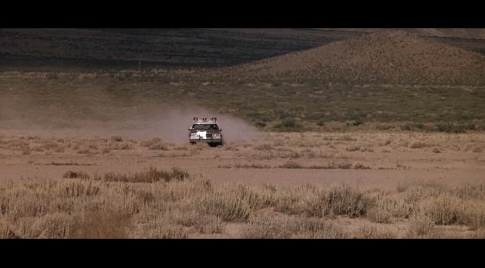 ワイルド・ボーイの画像