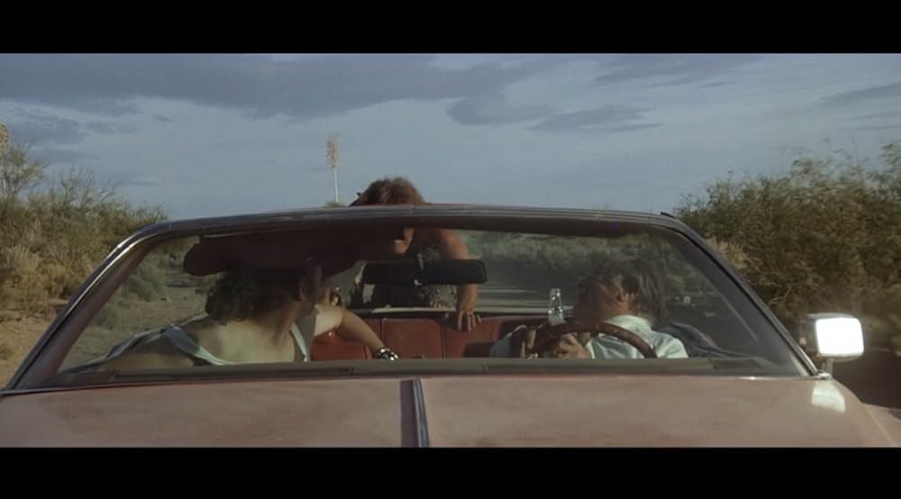 ワイルド・ボーイの画像