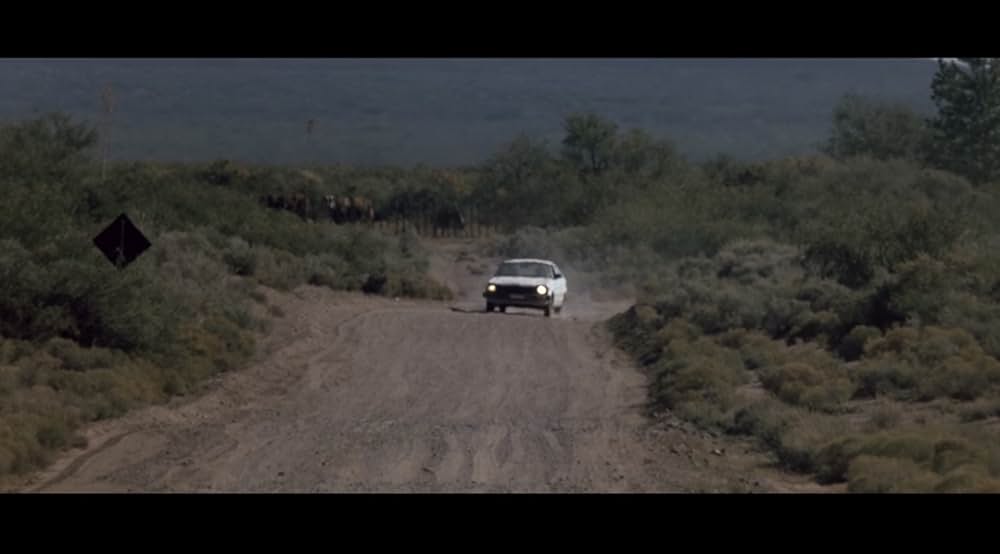 ワイルド・ボーイの画像