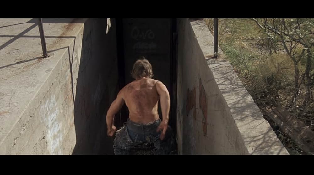 ワイルド・ボーイの画像