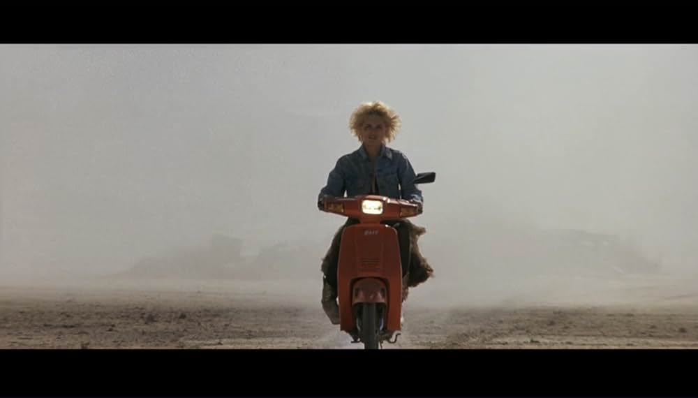 ワイルド・ボーイの画像