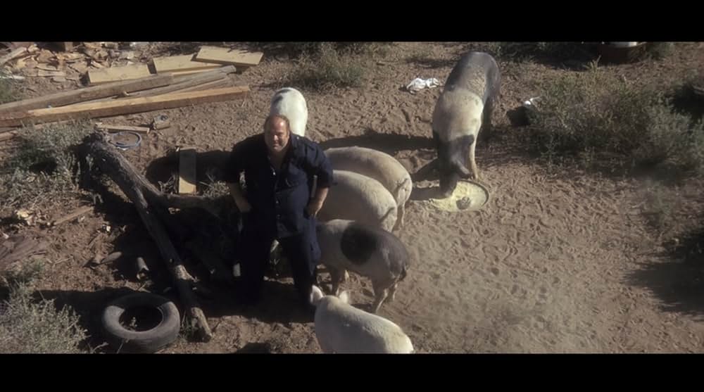 ワイルド・ボーイの画像