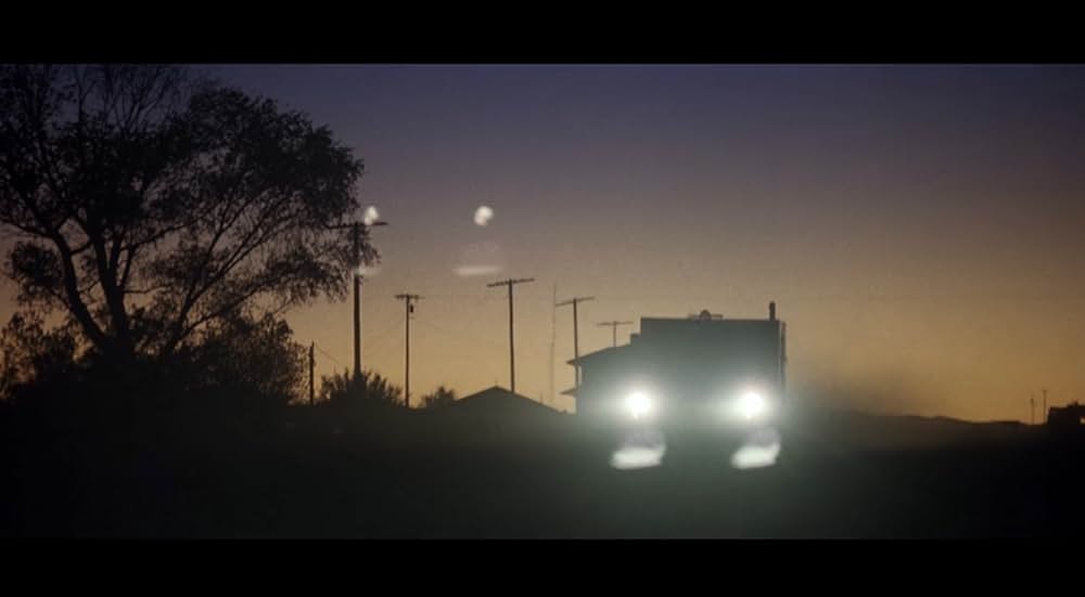 ワイルド・ボーイの画像