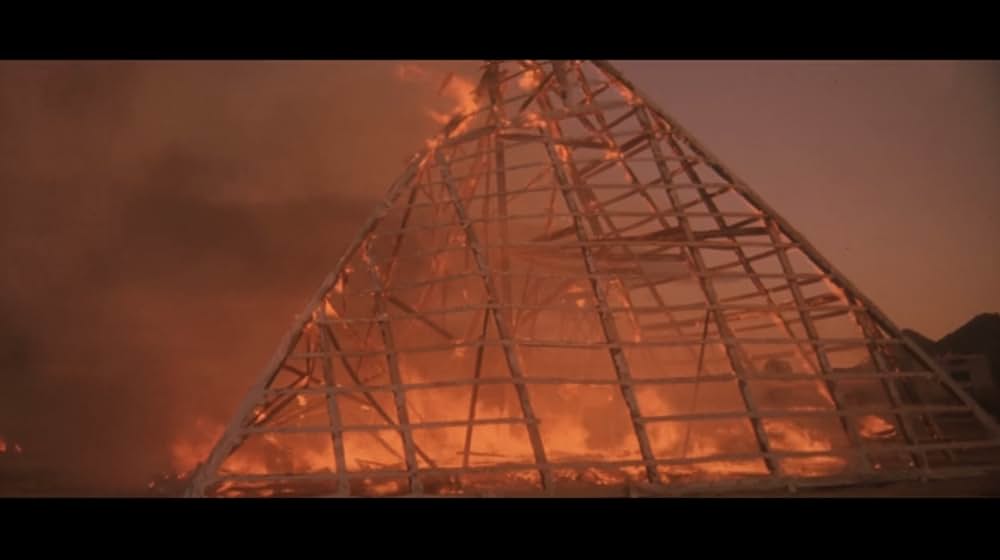 ワイルド・ボーイの画像