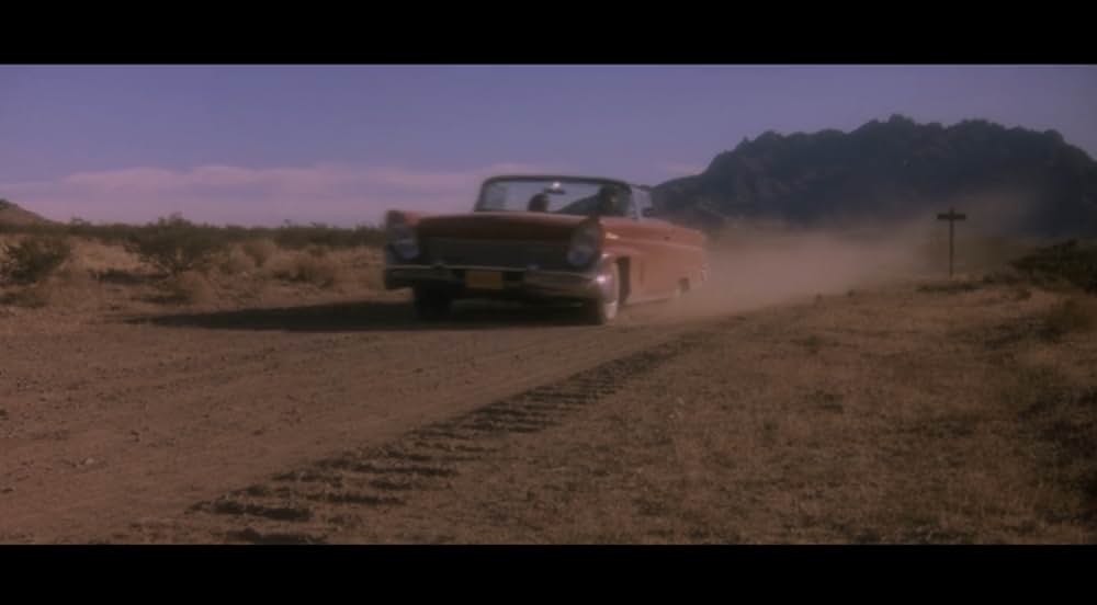 ワイルド・ボーイの画像