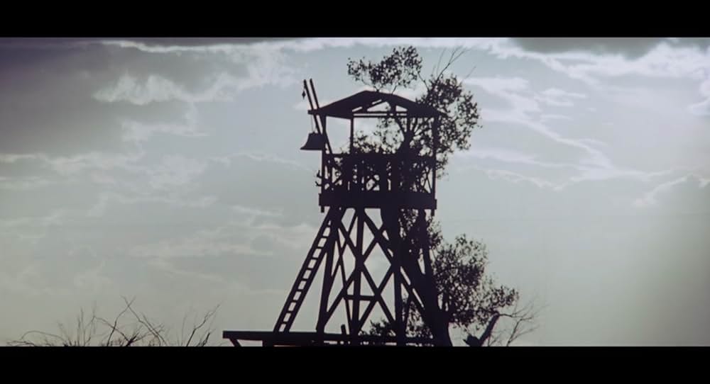 ワイルド・ボーイの画像