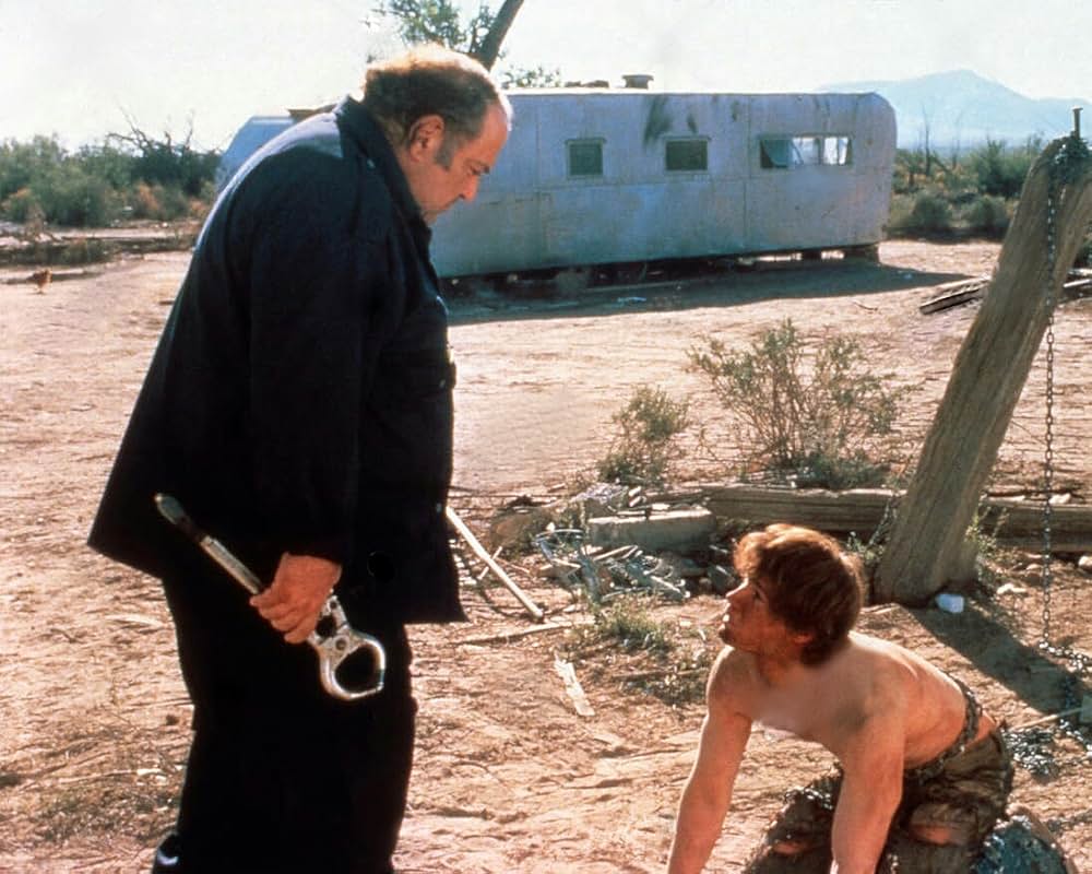 ワイルド・ボーイの画像