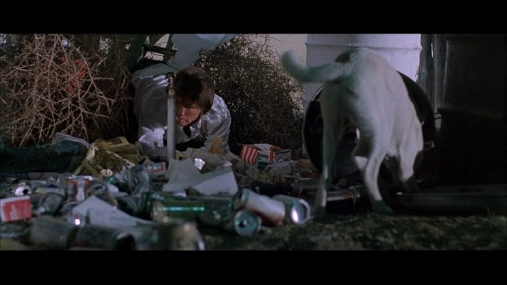 ワイルド・ボーイの画像