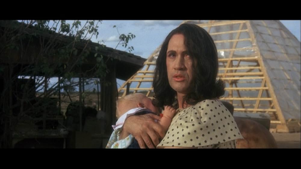 ワイルド・ボーイの画像