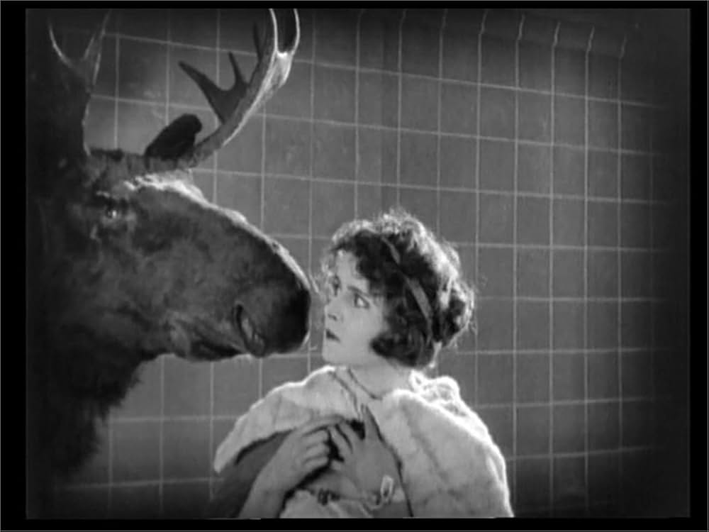 The Flapper（原題）の画像