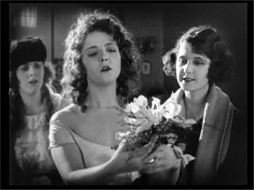 The Flapper（原題）の画像