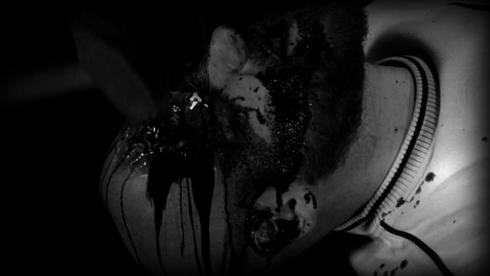 BAD MAX 怒りのリベンジ・ロードの画像