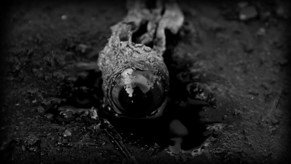 BAD MAX 怒りのリベンジ・ロードの画像