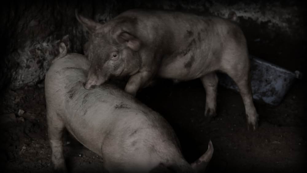 BAD MAX 怒りのリベンジ・ロードの画像