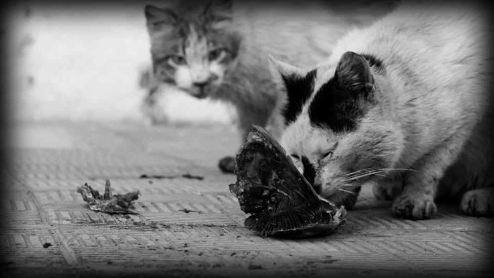 BAD MAX 怒りのリベンジ・ロードの画像