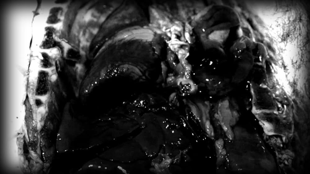 BAD MAX 怒りのリベンジ・ロードの画像