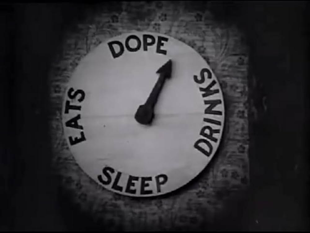 跳ねる魚の謎の画像