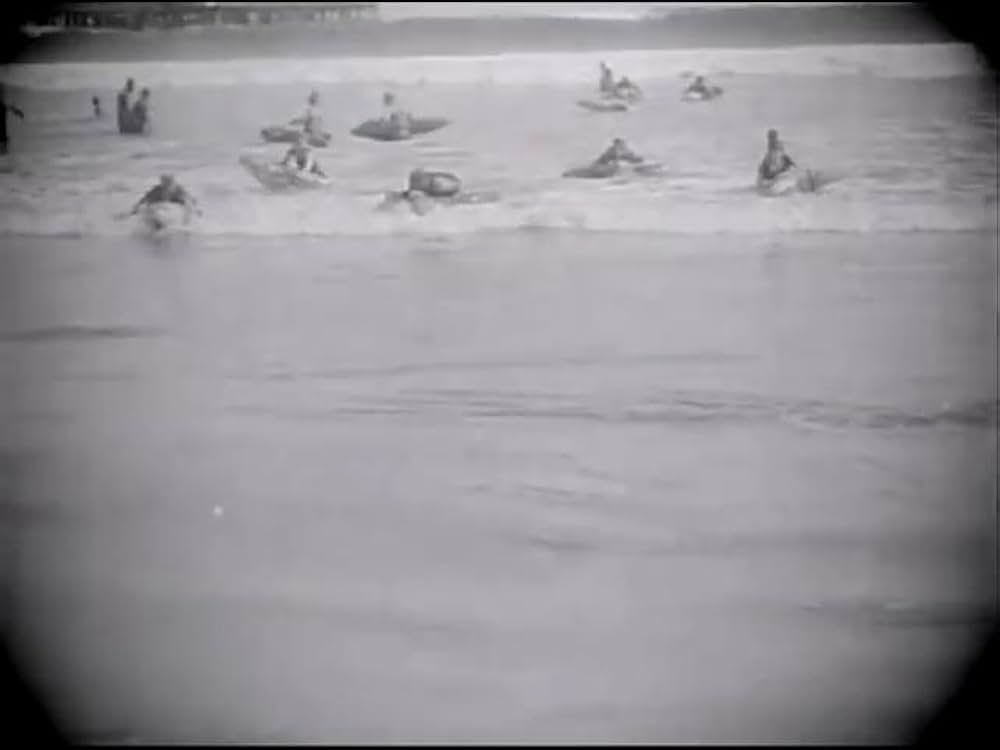 跳ねる魚の謎の画像