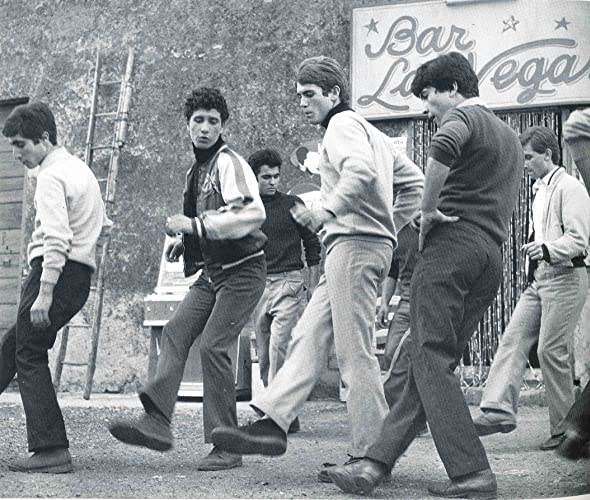 大きな鳥と小さな鳥の画像