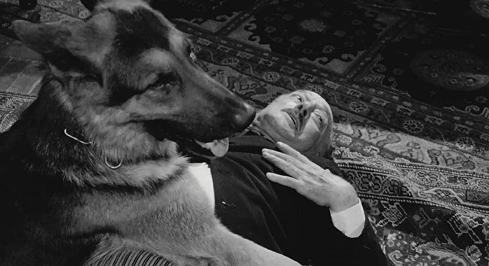 「大きな鳥と小さな鳥」Totòの画像