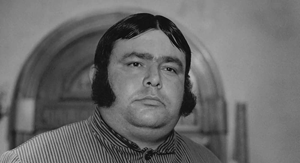 大きな鳥と小さな鳥の画像