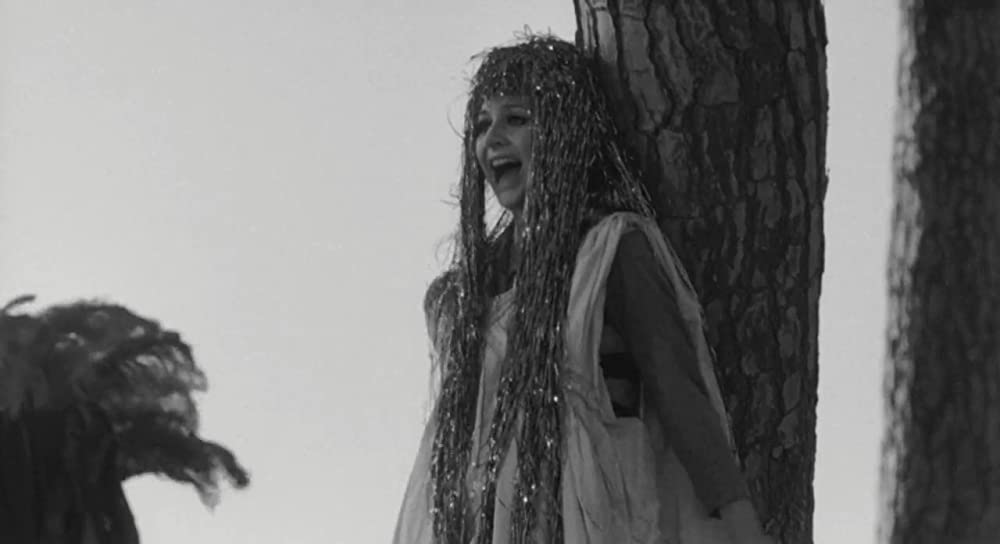 「大きな鳥と小さな鳥」Lena Lin Solaroの画像